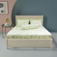 Bộ Chăn Ga Gối Nin House Calisto CT220043