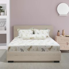 Bộ Chăn Ga Gối Nin House Calisto CT220044