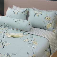 Bộ Chăn Ga Gối Nin House Calisto CT220042