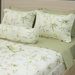Bộ Chăn Ga Gối Nin House Calisto CT220043