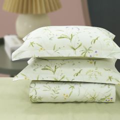 Bộ Chăn Ga Gối Nin House Calisto CT220043