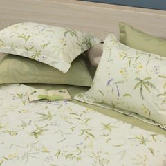 Bộ Chăn Ga Gối Nin House Calisto CT220043