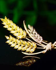 Cài Áo Golden Season