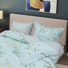 Bộ Chăn Ga Gối Nin House Calisto CT220042