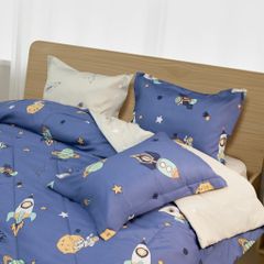 Bộ Chăn Ga Gối Nin House Calisto CT220041