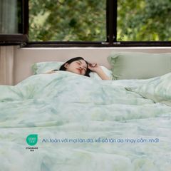 Bộ Chăn Ga Gối Nin House Pristine NP8914