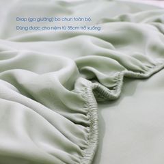 Bộ Chăn Ga Gối Nin House Pristine NP8914