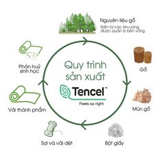 Bộ Chăn Ga Gối Nin House Pristine NP8915