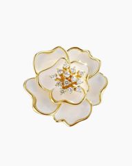 Cài Áo Camellia Serenade