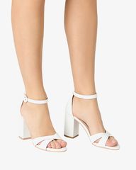 Giày Cao Gót Nữ Primadonna 83454
