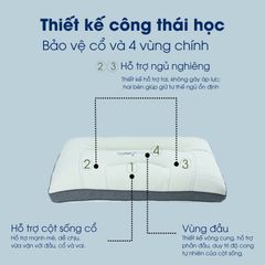 Ruột Gối Nin House Chăm Sóc Vai Gáy Cổ