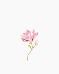 Cài Áo Nữ Meri Charming Blossom