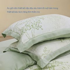 Bộ Chăn Ga Gối Nin House Pristine NP8913