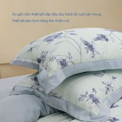 Bộ Chăn Ga Gối Nin House Pristine NP8915
