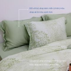 Bộ Chăn Ga Gối Nin House Pristine NP8913