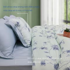 Bộ Chăn Ga Gối Nin House Pristine NP8915