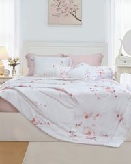 Bộ Chăn Ga Gối Nin House Valletta VC9006
