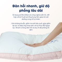 Ruột Gối Nin House Comfortable Healthy And Good Sleep