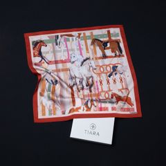 Khăn Choàng Tiara 2S62LB45 (45 x 45 cm)