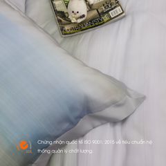 Bộ Chăn Ga Gối Nin House Pristine NP8908