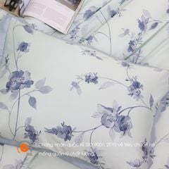 Bộ Chăn Ga Gối Nin House Pristine NP8915