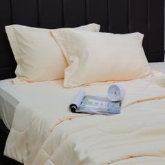 Bộ Chăn Ga Gối Nin House Classic Ivory C190708