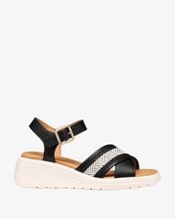 Giày Sandals Meliconia