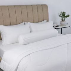 Bộ Chăn Ga Gối Nin House Classic White C190698