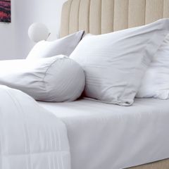 Bộ Chăn Ga Gối Nin House Classic White C190698