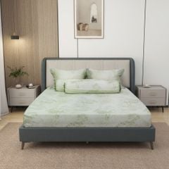 Bộ Chăn Ga Gối Nin House Pristine NP8913