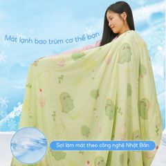 Chăn Mền Nin House Hoa Văn NM8030