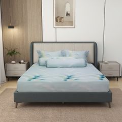 Bộ Chăn Ga Gối Nin House Pristine NP8916