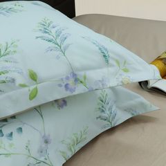 Bộ Chăn Ga Gối Stefani ST200049