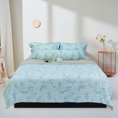 Bộ Chăn Ga Gối Stefani ST200049