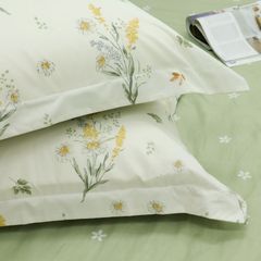 Bộ Chăn Ga Gối Stefani ST200050