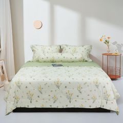 Bộ Chăn Ga Gối Stefani ST200050