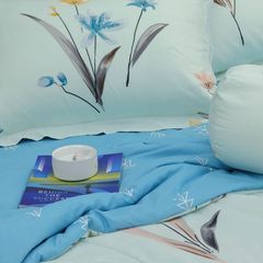 Bộ Chăn Ga Gối Stefani ST200052