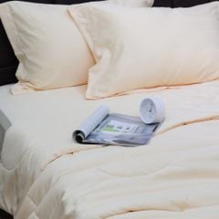 Bộ Chăn Ga Gối Nin House Classic Ivory C190708