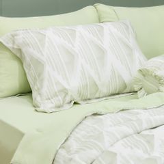 Bộ Chăn Ga Gối Nin House Valletta VC9003