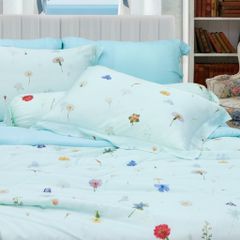 Bộ Chăn Ga Gối Nin House Valletta VC9004