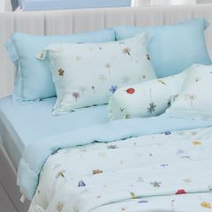 Bộ Chăn Ga Gối Nin House Valletta VC9004