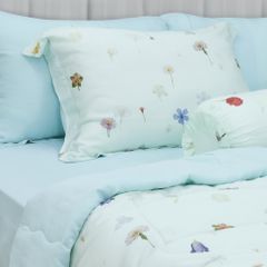 Bộ Chăn Ga Gối Nin House Valletta VC9004