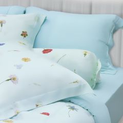 Bộ Chăn Ga Gối Nin House Valletta VC9004