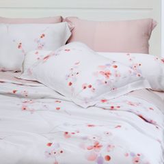 Bộ Chăn Ga Gối Nin House Valletta VC9006