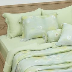 Bộ Chăn Ga Gối Nin House Valletta VC9009