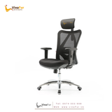 Ghế công thái học M18