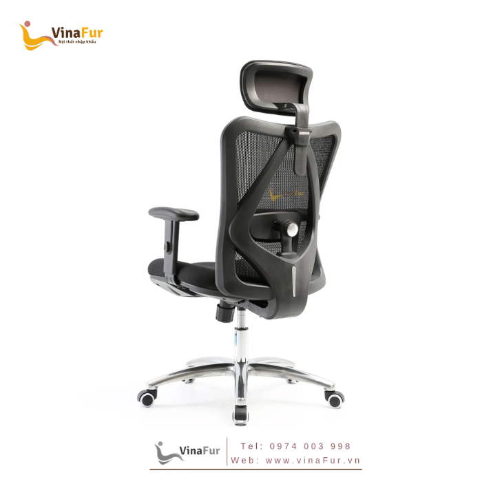 Ghế công thái học M18