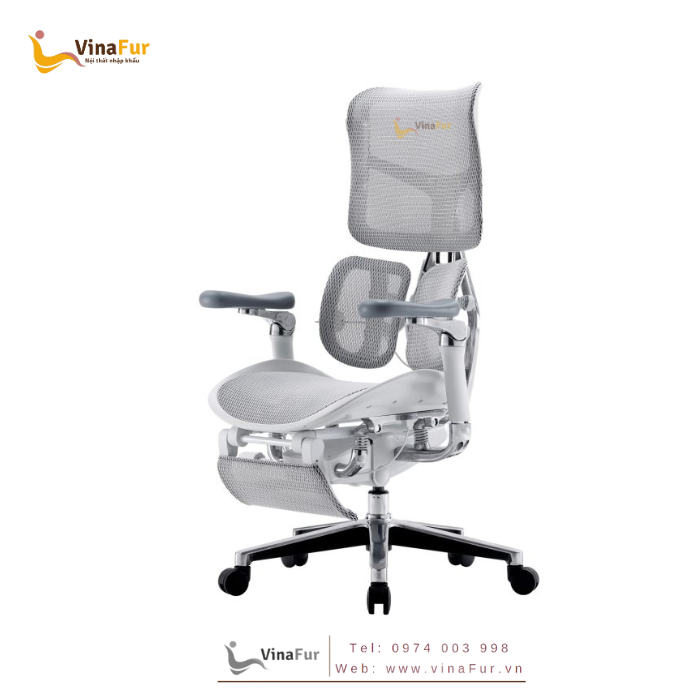 Ghế công thái học S300