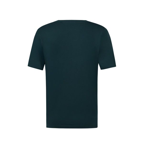  Áo T-shirt Li-Ning Nam AHSV151-5V 