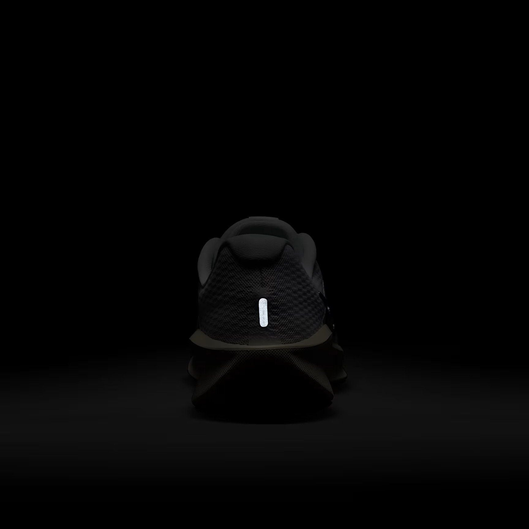  Giày chạy bộ Nike Downshifter 13 Nữ FD6476-100 